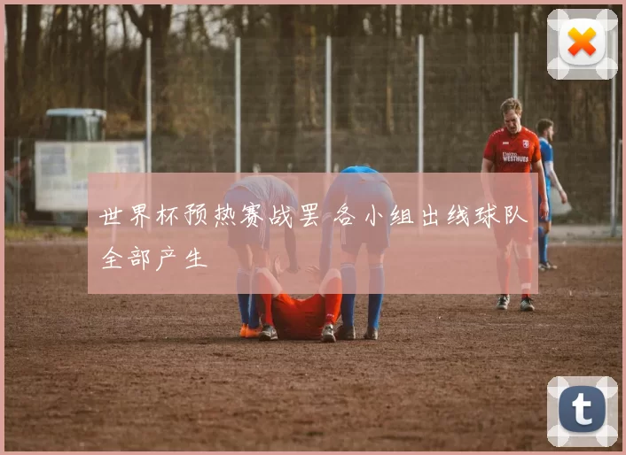 世界杯预热赛战罢 各小组出线球队全部产生