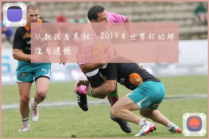 从数据看真相：2019年世界杯的辉煌与遗憾