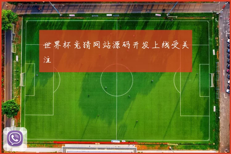 世界杯竞猜网站源码开发上线受关注