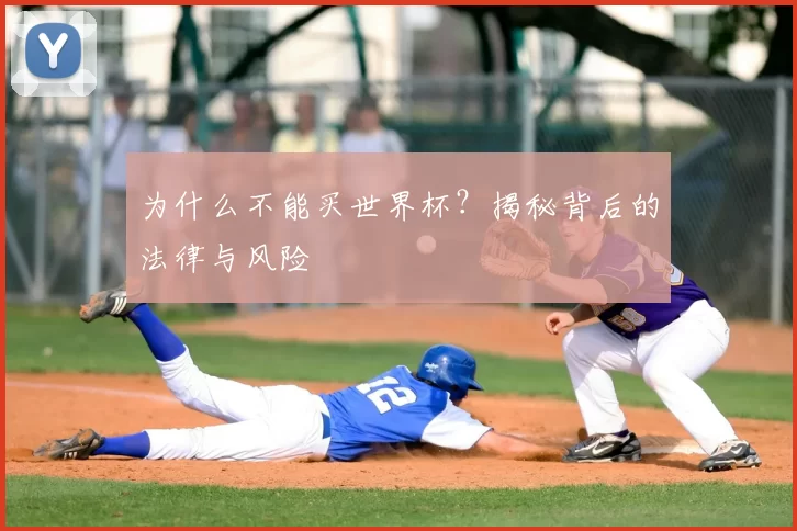 为什么不能买世界杯？揭秘背后的法律与风险
