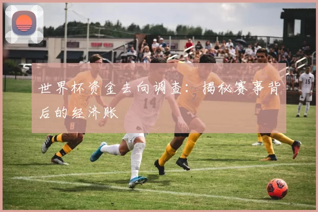 世界杯资金去向调查：揭秘赛事背后的经济账
