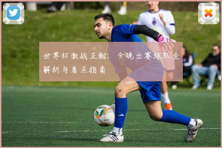 世界杯激战正酣：今晚出赛球队全解析与看点指南