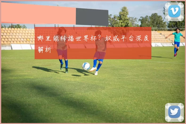 哪里能转播世界杯？权威平台深度解析