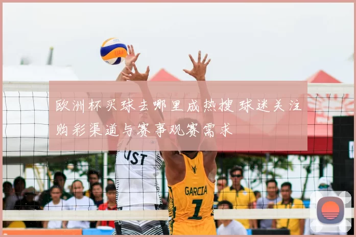欧洲杯买球去哪里成热搜 球迷关注购彩渠道与赛事观赛需求