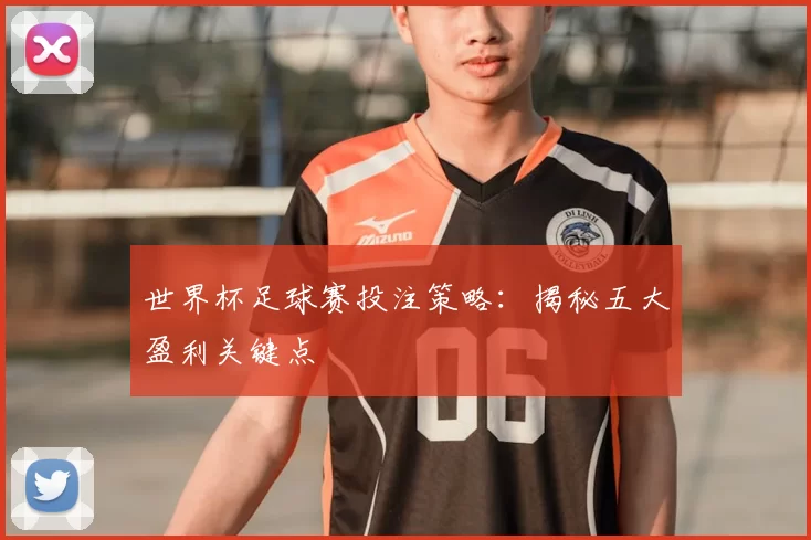 世界杯足球赛投注策略:揭秘五大盈利关键点