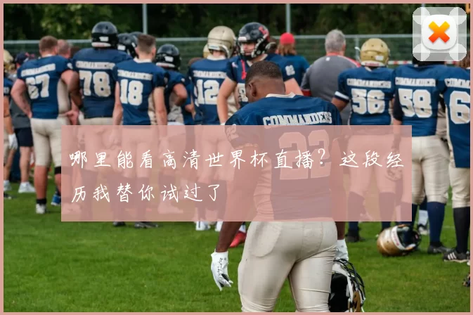 哪里能看高清世界杯直播？这段经历我替你试过了