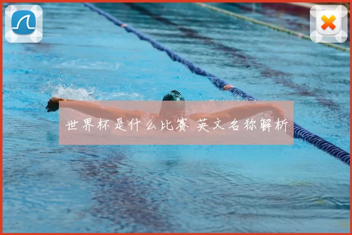 世界杯是什么比赛 英文名称解析