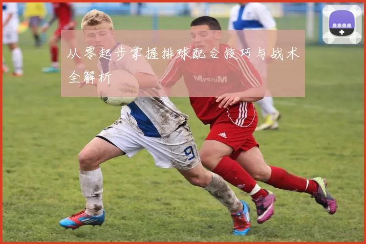 从零起步掌握排球配合技巧与战术全解析