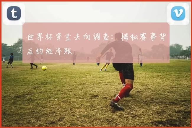 世界杯资金去向调查：揭秘赛事背后的经济账