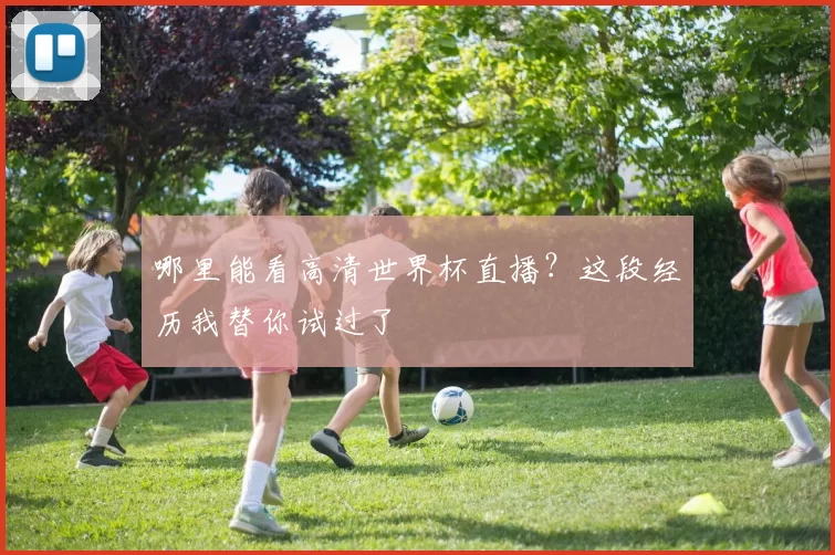 哪里能看高清世界杯直播?这段经历我替你试过了