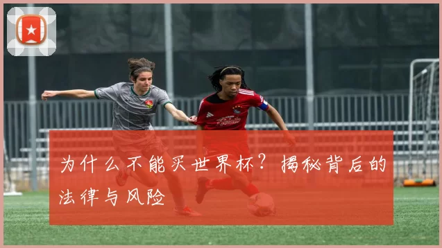 为什么不能买世界杯？揭秘背后的法律与风险