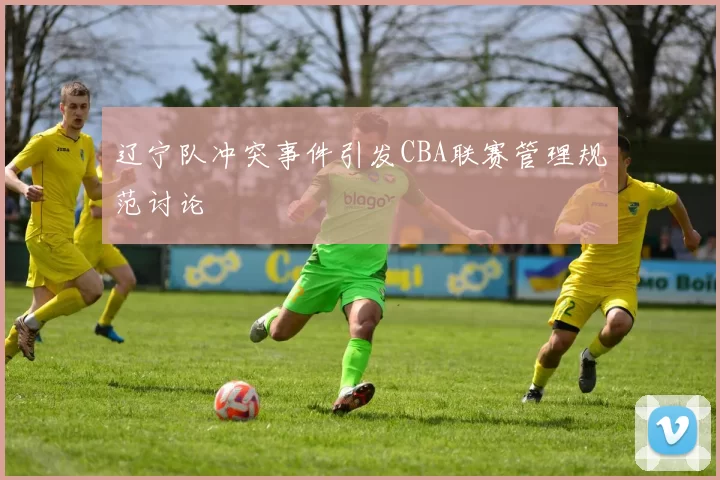 辽宁队冲突事件引发CBA联赛管理规范讨论