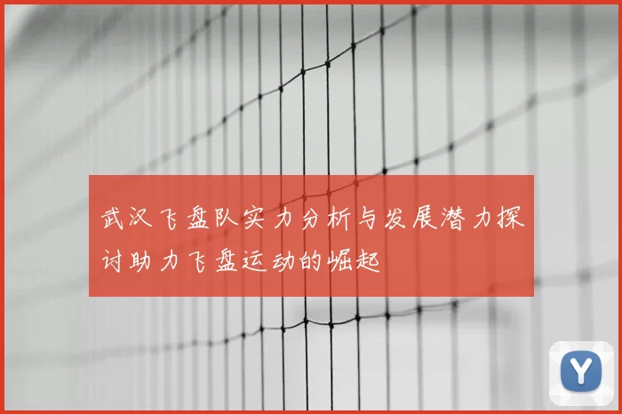 武汉飞盘队实力分析与发展潜力探讨助力飞盘运动的崛起