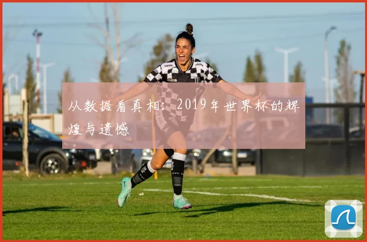 从数据看真相：2019年世界杯的辉煌与遗憾